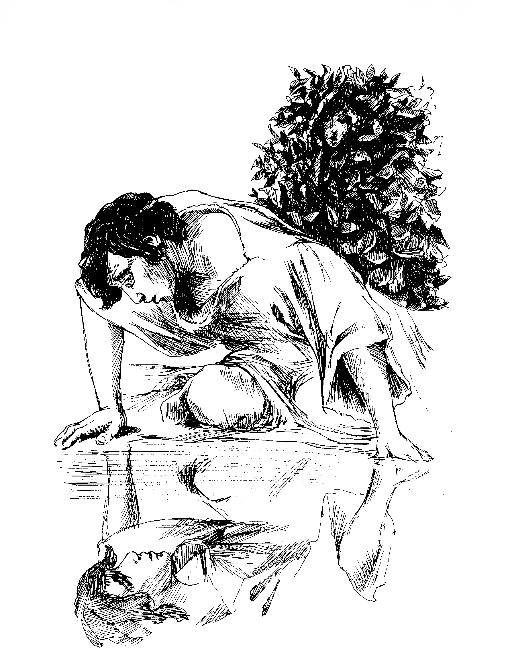 Narciso
